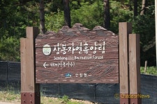 국립삼봉자연휴양림으로 떠나요!
