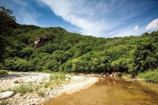 잘 차려진 풍경에 두 발만 얹다…홍천 백우산 용소계곡