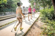 노르딕워킹으로 더위 가르며 이열치열!