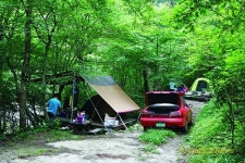 나무 그늘 아래서 캠핑 즐겨요…강원 계곡 캠핑장 3선