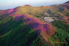 빨갛게 빨갛게 물들었네…단풍 멋진 캠핑장 9선