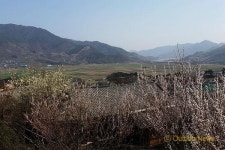 춘삼월, 매화향 가득한 지리산둘레길로 오세요!