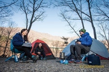 소나무 숲으로 튀어!…경주 삼릉가는길 트레킹 & 캠핑