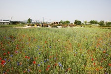 한강 산책 코스 4색 매력 탐구