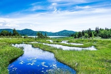 여름이 오면 머나먼 오제의 하늘이 그리워라