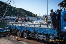 두 바퀴로 동해안 종주 PartⅢ.