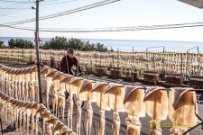 두 바퀴로 동해안 종주 PartⅢ.