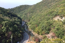 발끝은 아찔, 가슴은 철렁…출렁다리, 건너볼까?