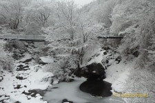 1월 추천 지리산자연휴양림 선정