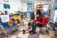 애견과 함께 하는 자연 속 캠핑