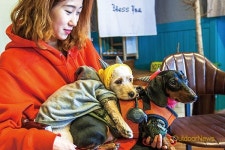 반려견과 뜨끈뜨끈 글램핑, 애견캠핑 in 청평원