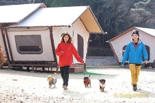 반려견과 뜨끈뜨끈 글램핑, 애견캠핑 in 청평원