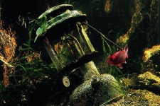 움막에서 카라반까지, 캠핑 톺아보기