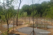 도심 힐링 초안산 캠핑장