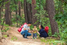 수고했어, 오늘도…대관령 치유의 숲
