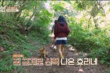 <효리네 민박> 친환경 라이프 엿보기