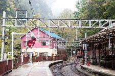 저곳에 텐트 치고 싶다