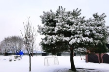 겨울에 즐기는 후끈한 찜질 캠핑