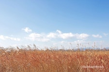 SNS에서 난리난 인생사진 포인트