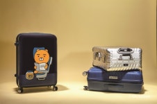 봄맞이 캐리어 열전