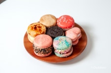 일산, 밤가시마을 카페 투어