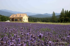 어디든 떠나야 하는 계절
