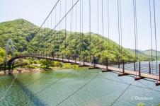 江湖歌道, 신선의 숲