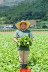 [정선여행] 곤드레 농장 박상봉