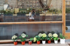 [서순라길, 계동] 사심 가득 골목길 여행