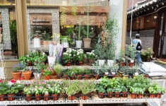 [서순라길, 계동] 사심 가득 골목길 여행