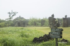 몰라봐서 미안, 제주의 매력적인 스폿