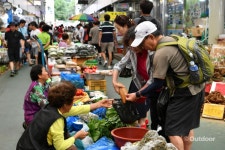 정선 동네 마을 탐방