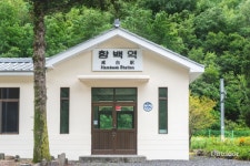 정선선 간이역 포토 스폿