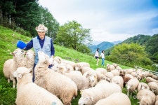 오감을 만족시키는 정선 즐길 거리
