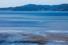 [에디터스 레터] 가까워 만만했지