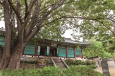 두 발로 만나는 강화의 매력 강화나들길