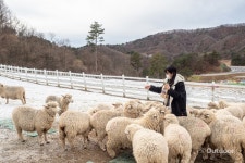 눈이 오면 생각나는 그곳