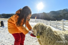 자연과 동물이 있는 친환경 힐링