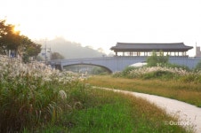 치유의 시간, 전주 자연 여행