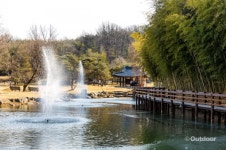 역사와 문화의 터, 죽녹원 시가문화촌