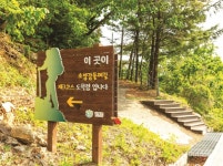 소양강이 곁을 내어주는 길