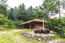 밀려오는 숲의 향, 가평 잣향기푸른숲