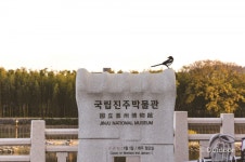 오색 가을빛이 훑고 간 자리, 진주성