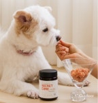 멍냥이 비밀밥상, 반려동물 맞춤 영양제 멍비상 론칭