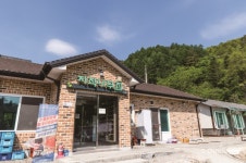 강원도 힐링 맛집 5