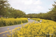 느긋하게 봄나들이