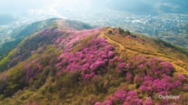 봄에 오르기 좋은 산 3