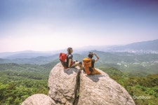 여름이 오는 길목에서 청계산 트레킹
