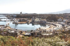 겨울 바다를 걷다