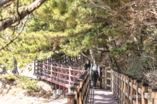 힐링이 필요할 때는 승봉도 트레킹